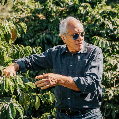 Norberto Suarez