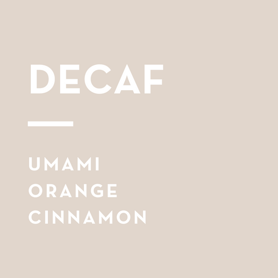 Cruiser - Decaf