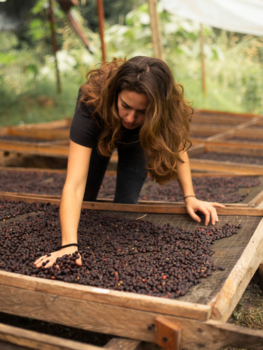 Finca Coyametla