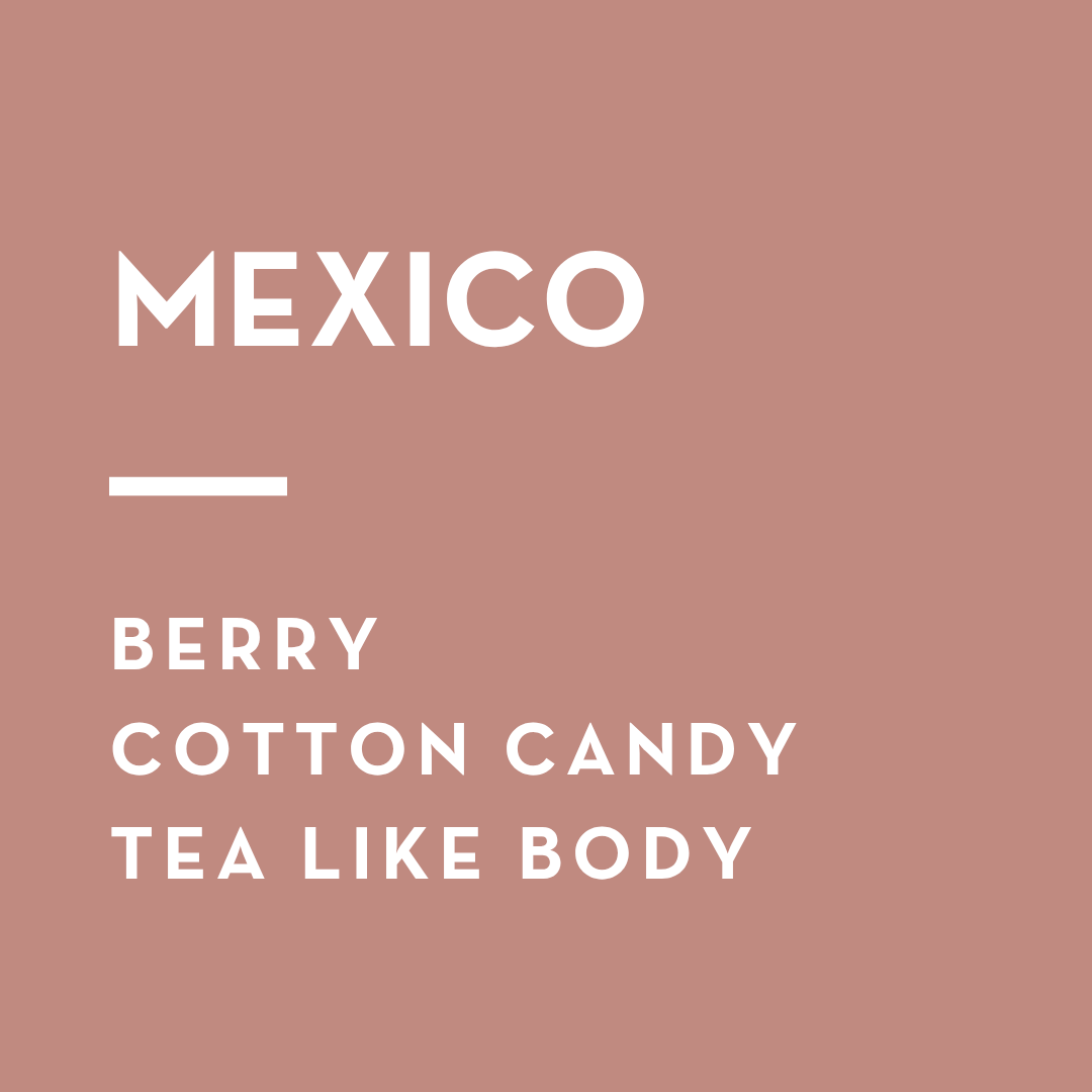 Finca Coyametla
