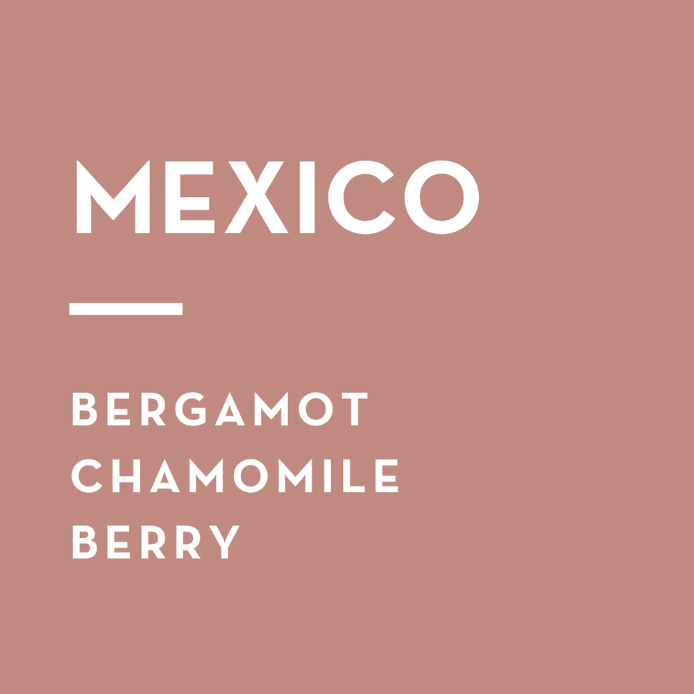Finca Santa Cruz
