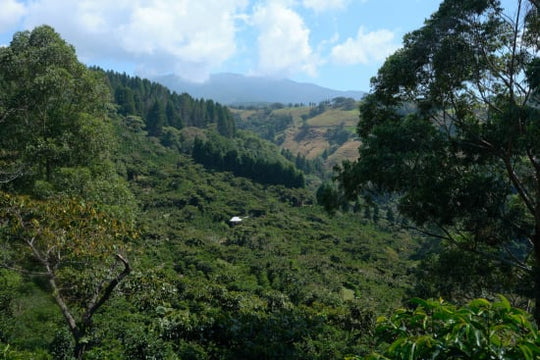 Hyalite Peak