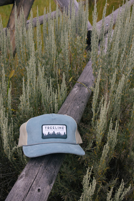 Blue Corduroy Patch Hat