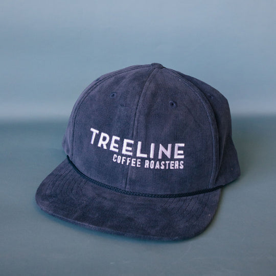 Treeline Corduroy Flat Brim Hat