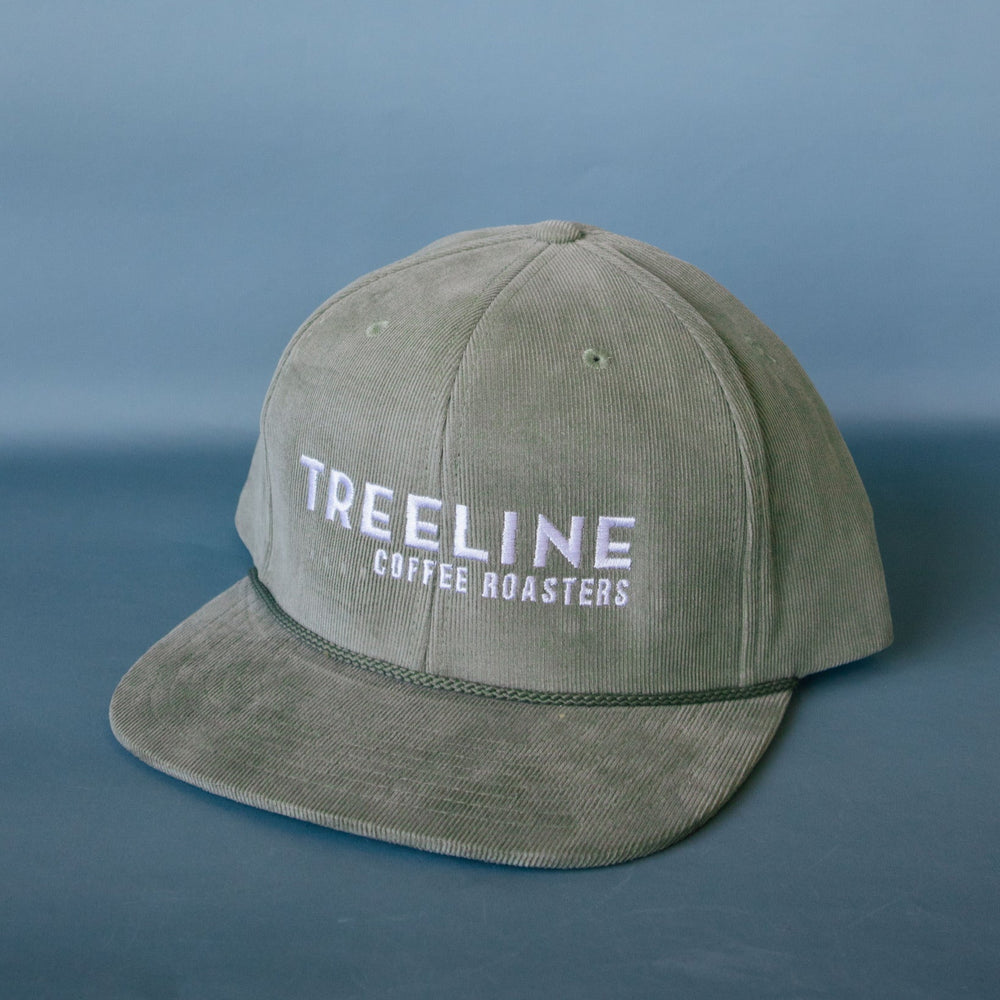 Treeline Corduroy Flat Brim Hat