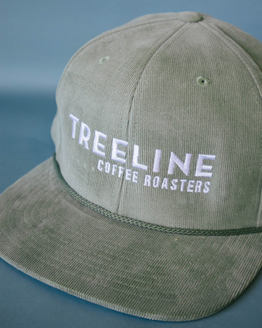 Treeline Corduroy Flat Brim Hat