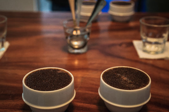 Finca Santa Cruz