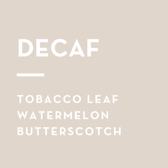 June Bug Decaf