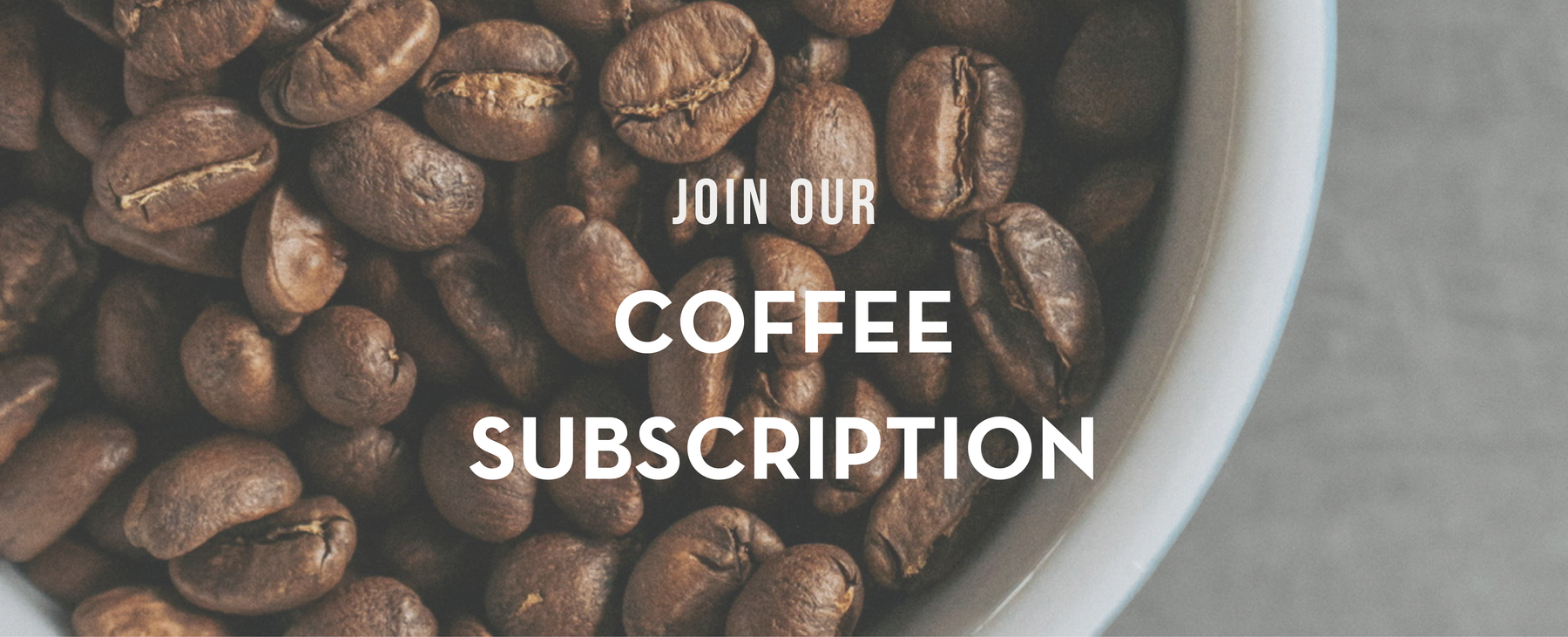 Treeline Coffee Roasters